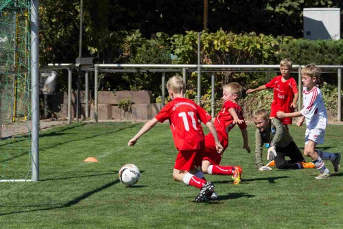 F-Jugend mit fast perfektem Heimspieltag