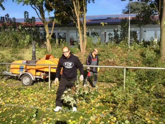Arbeitseinsatz am 19.10.2013