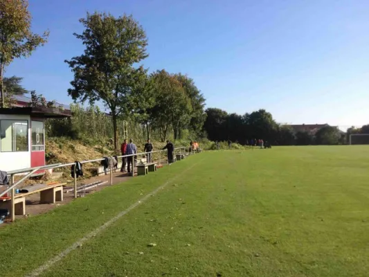 Arbeitseinsatz am 19.10.2013