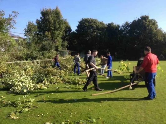 Arbeitseinsatz am 19.10.2013