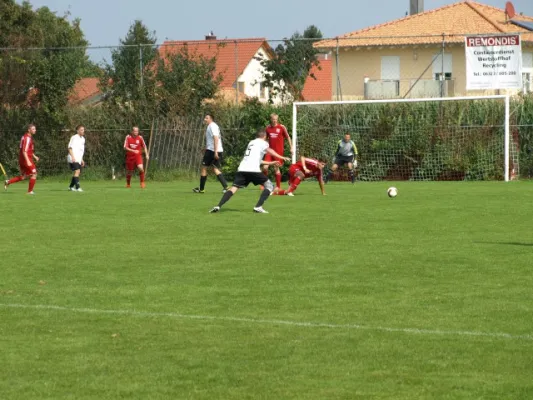 SV Gommersheim II - 08 Haßloch II