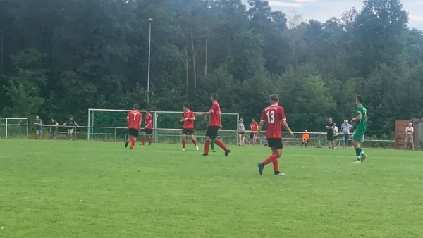 16.08.2020 TV Westheim vs. SV Gommersheim 1945