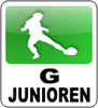 Hallenspieltag beim TSV Lingenfeld
